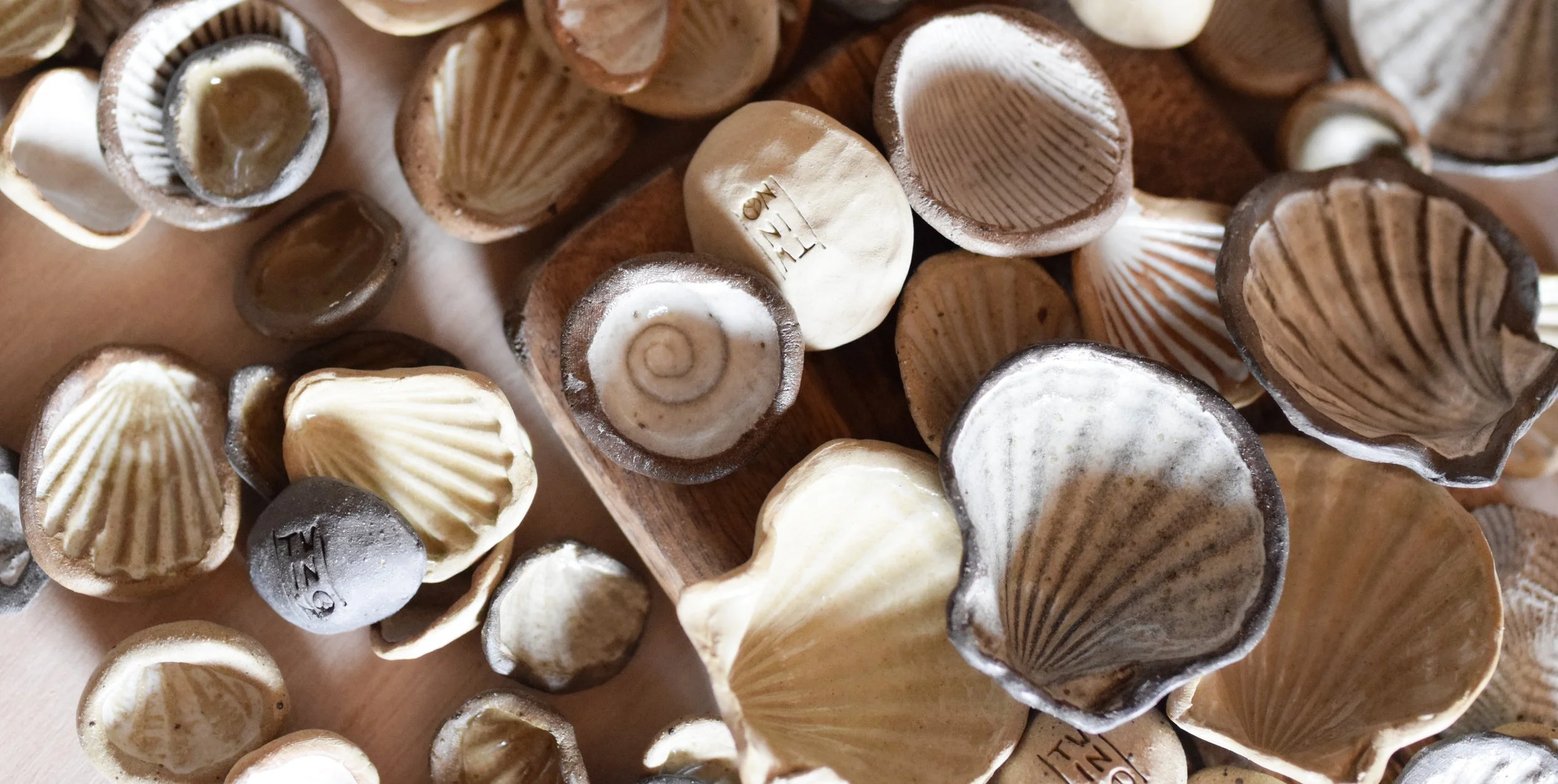 shells05banner.jpg