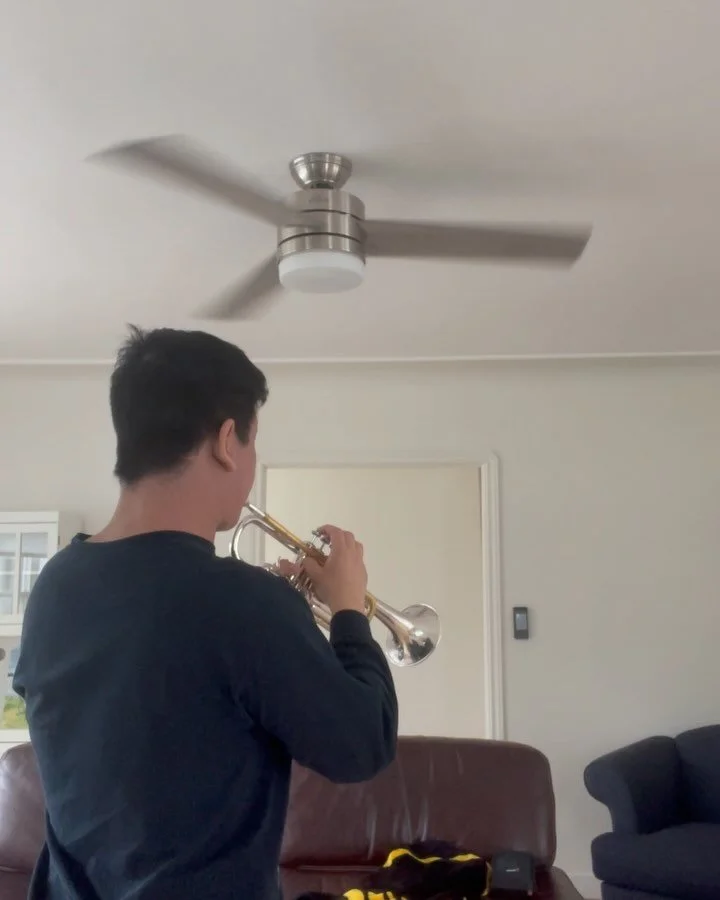 pov: your the ornament on my mantle watching me run through old solo rep instead of practicing Arban