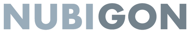 NUBIGON | Point Cloud Visualization Software