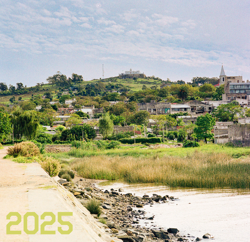 Bästa 2025: litteratur