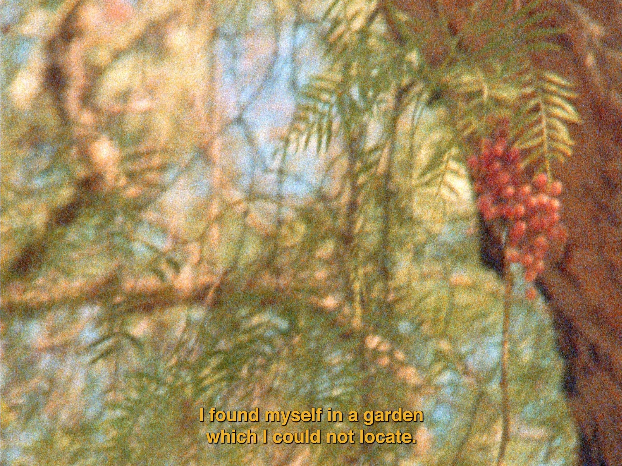 The Secret Garden_Still4_Nour Ouayda_144dpi.jpg
