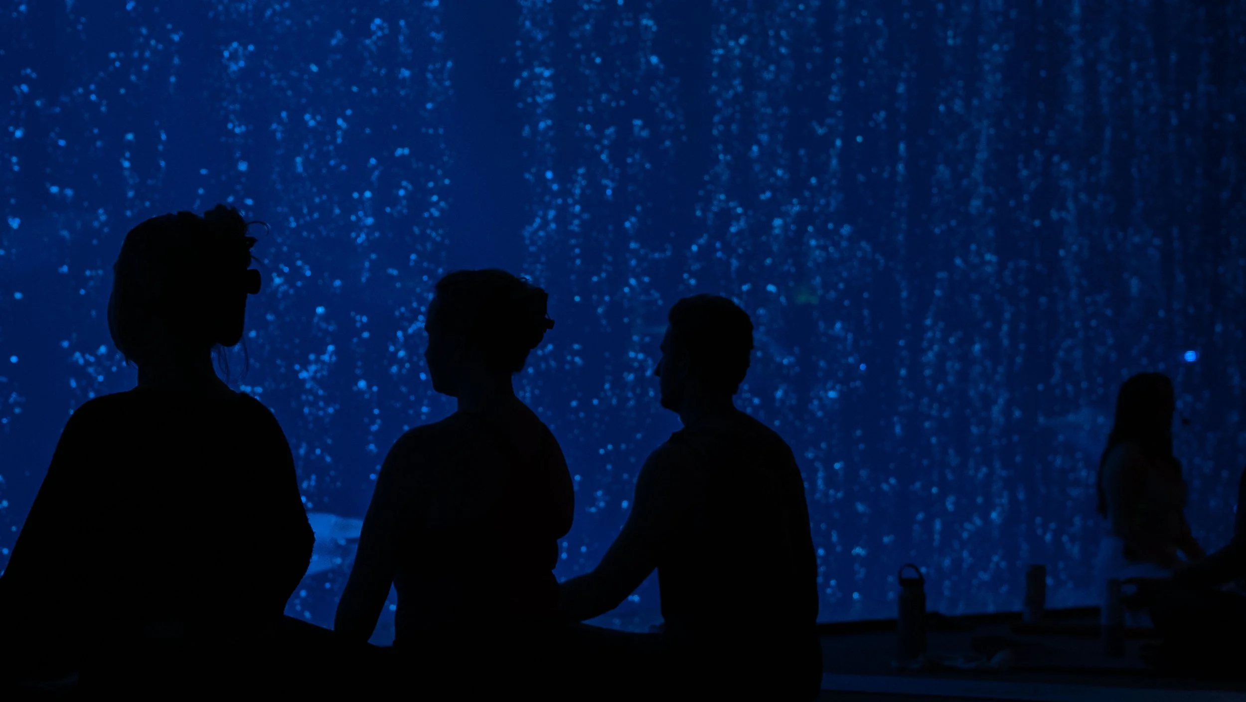 Yoga at the Monterey Bay Aquarium