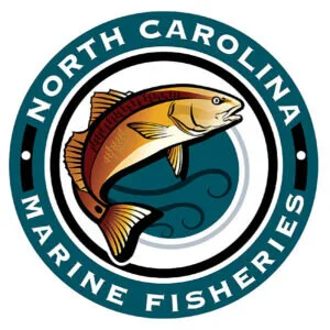 Marine Fisheries Commission wants more input on modifying small mesh gill net rules; reviews options for southern flounder sector allocations