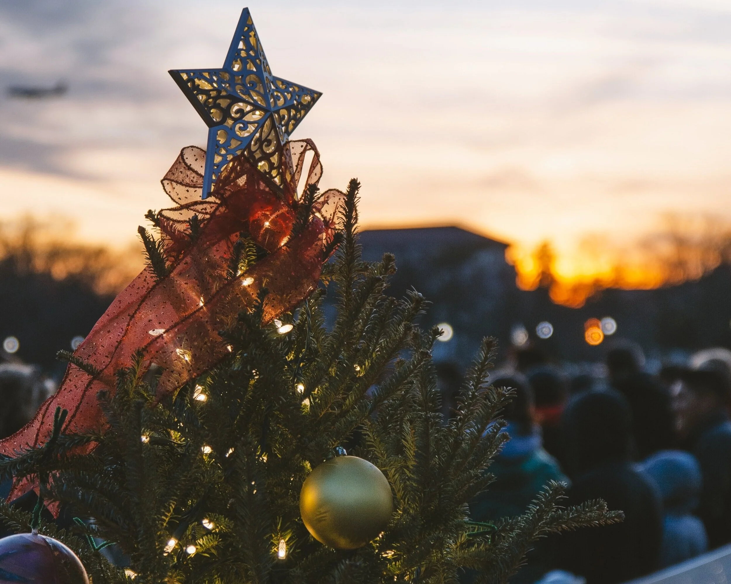 Local farms plan bounty of holiday activities
