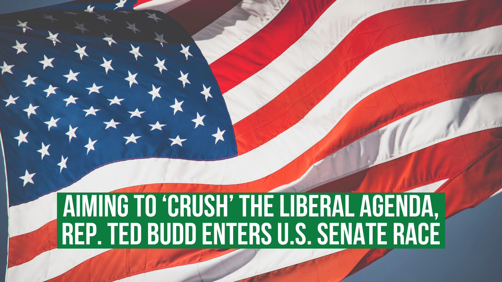 Aiming to ‘crush’ the liberal agenda, Rep. Ted Budd enters U.S. Senate race