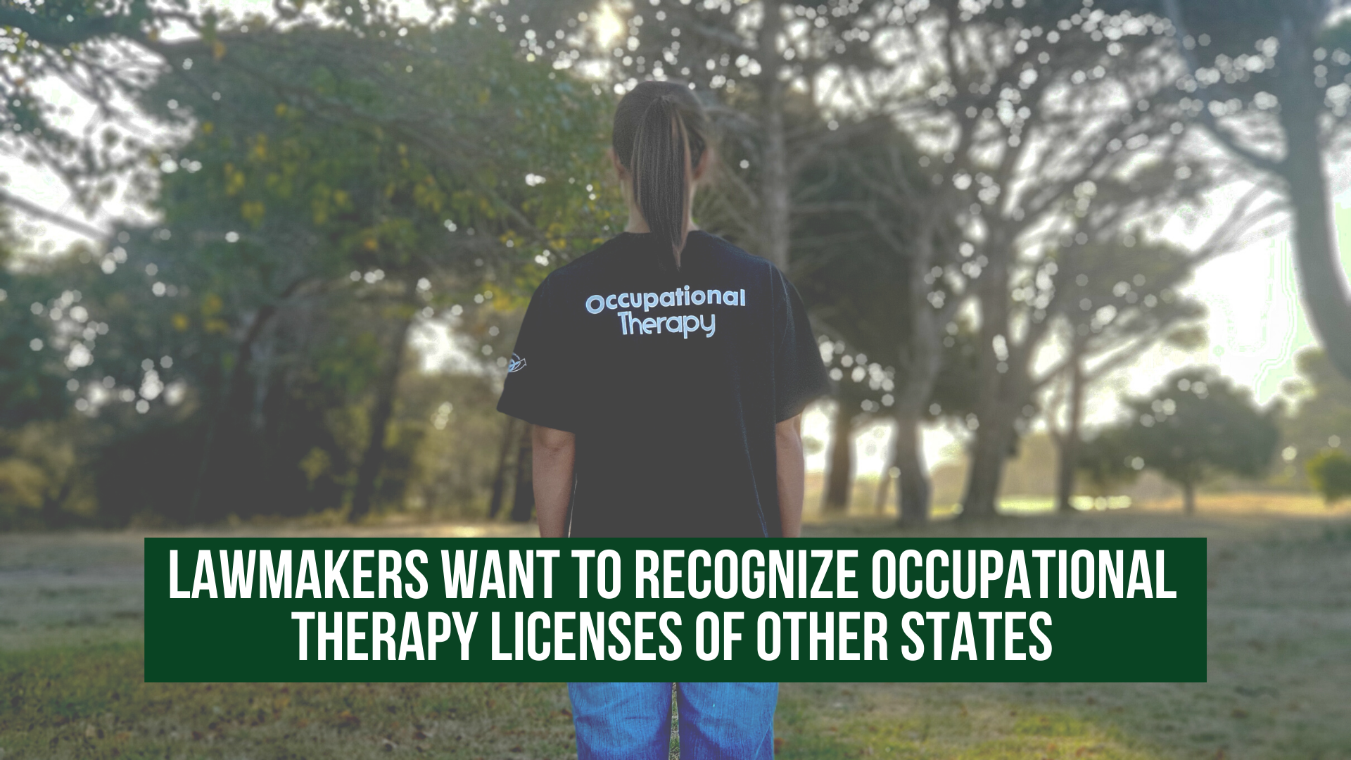 Lawmakers want to recognize occupational therapy licenses of other states