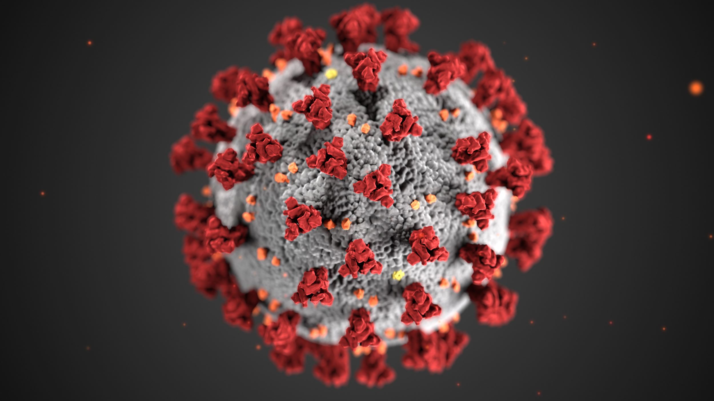 N.C. COVID cases trending down, but experts say we will learn to live with virus
