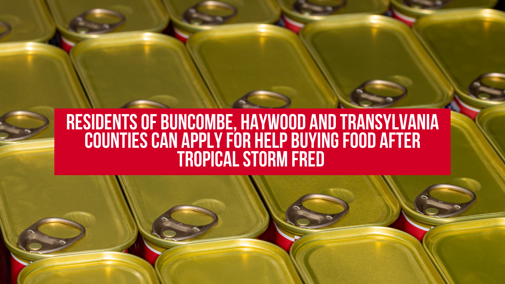 Residents of Buncombe, Haywood and Transylvania Counties can apply for help buying food after Tropical Storm Fred 