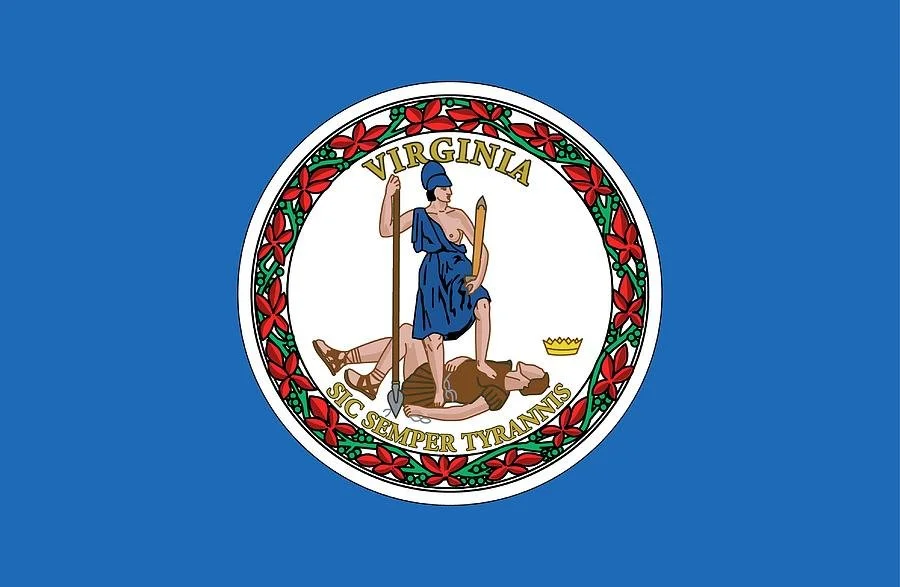  OPINION: Democrats might win in Virginia, but the damage is done