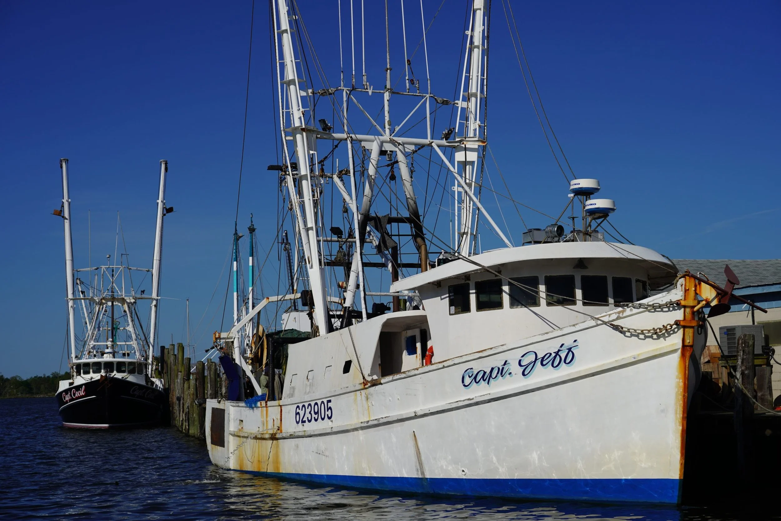 OPINION: Is it time to break up marine fisheries?