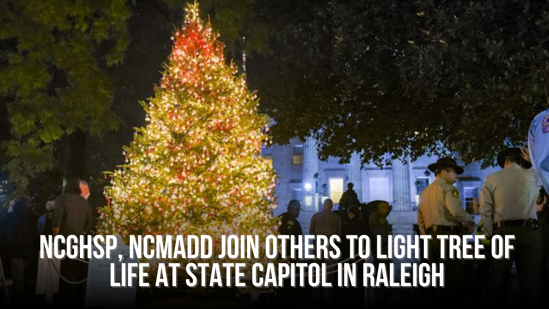NCGHSP, NCMADD join others to light Tree of Life at State Capitol in Raleigh