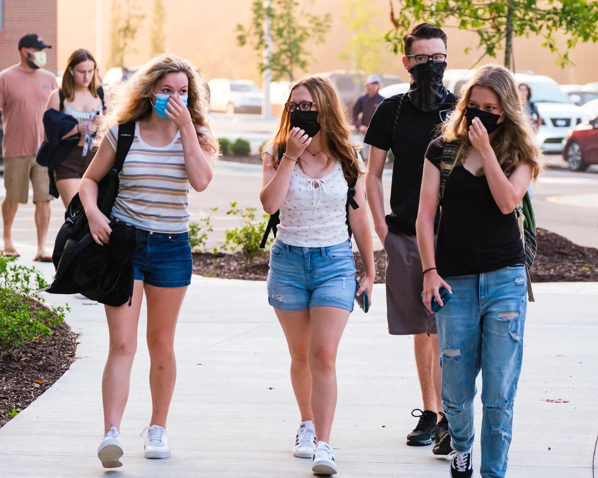 New vote to Free the Smiles would mark first veto override attempt in a year