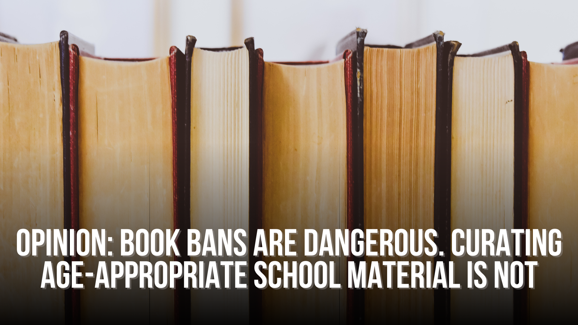 OPINION: Book bans are dangerous. Curating age-appropriate school material is not