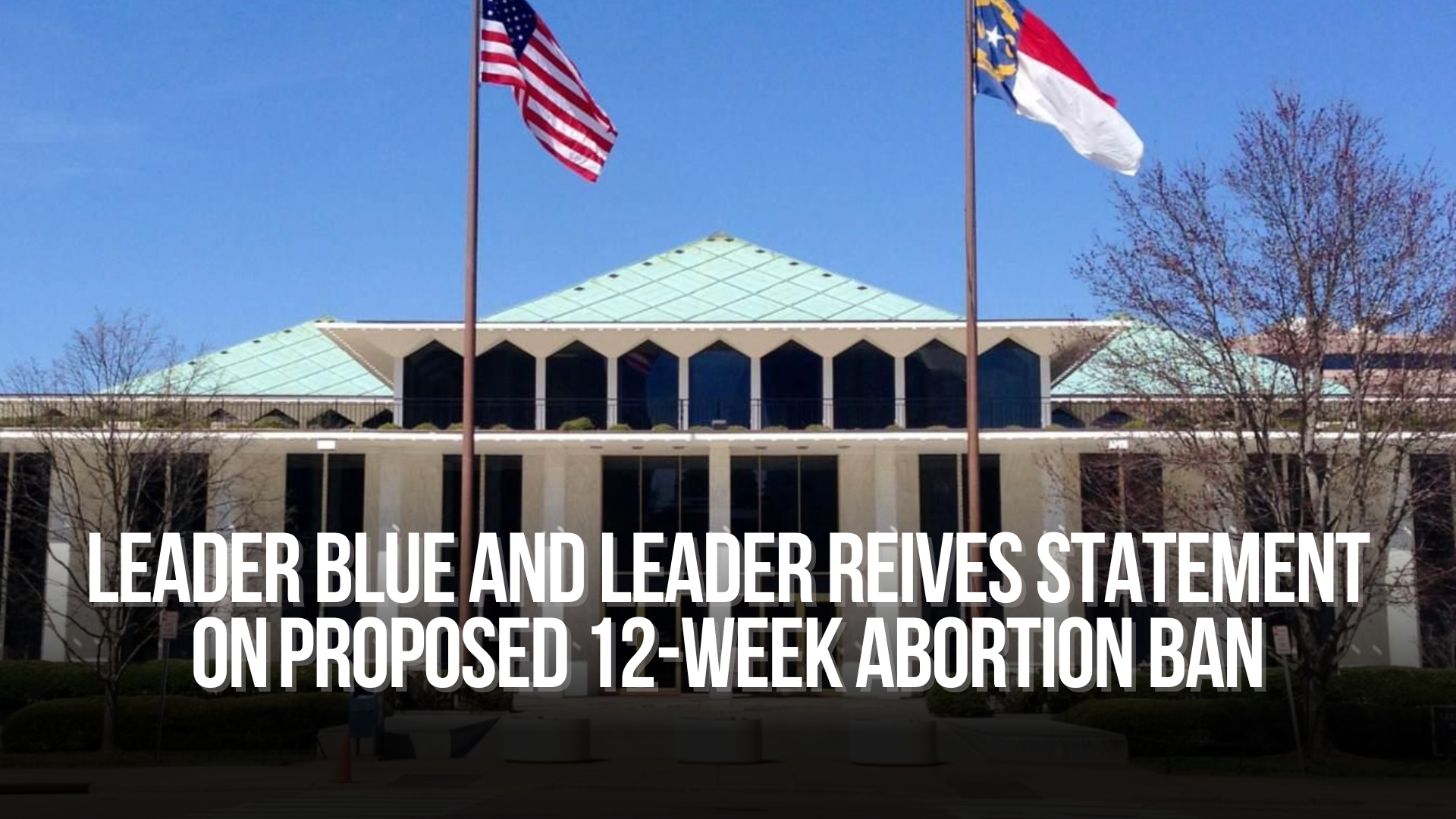 Leader Blue and Leader Reives statement on ﻿﻿proposed 12-Week abortion ban