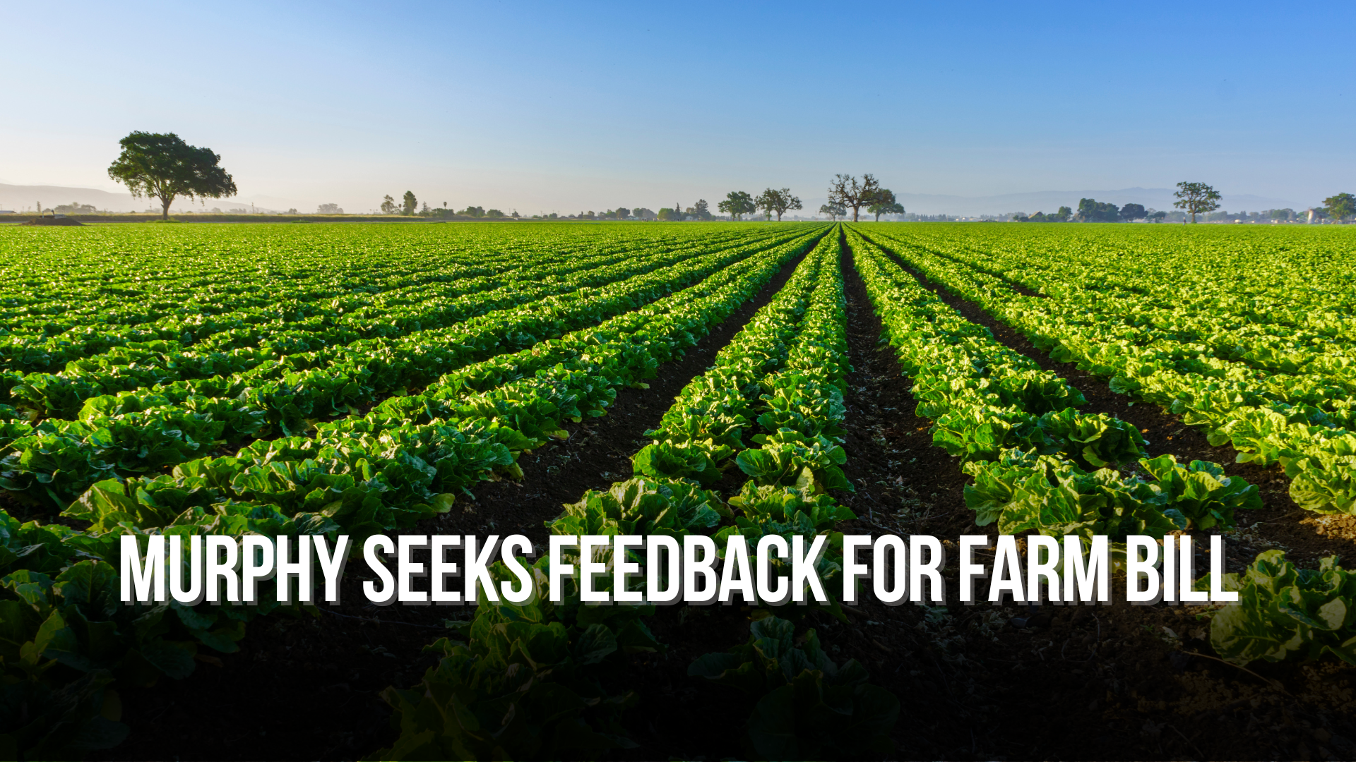 Murphy Seeks Feedback for Farm Bill