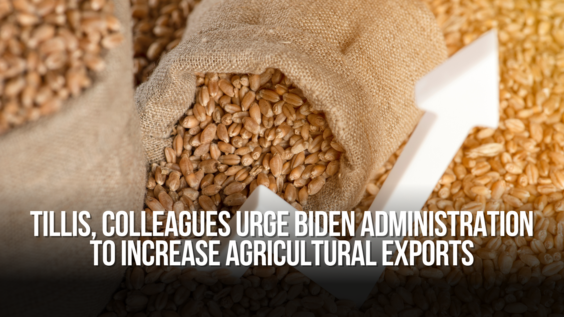 Tillis, Colleagues Urge Biden Administration to Increase Agricultural Exports
