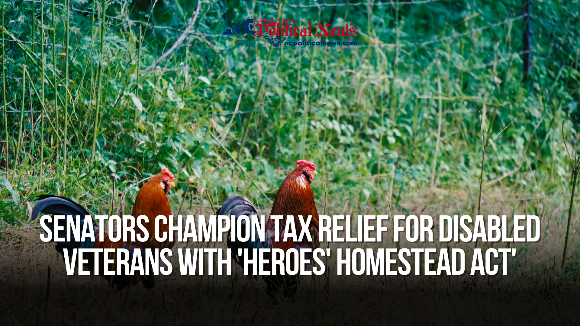 Senators champion tax relief for disabled veterans with 'Heroes' Homestead Act'