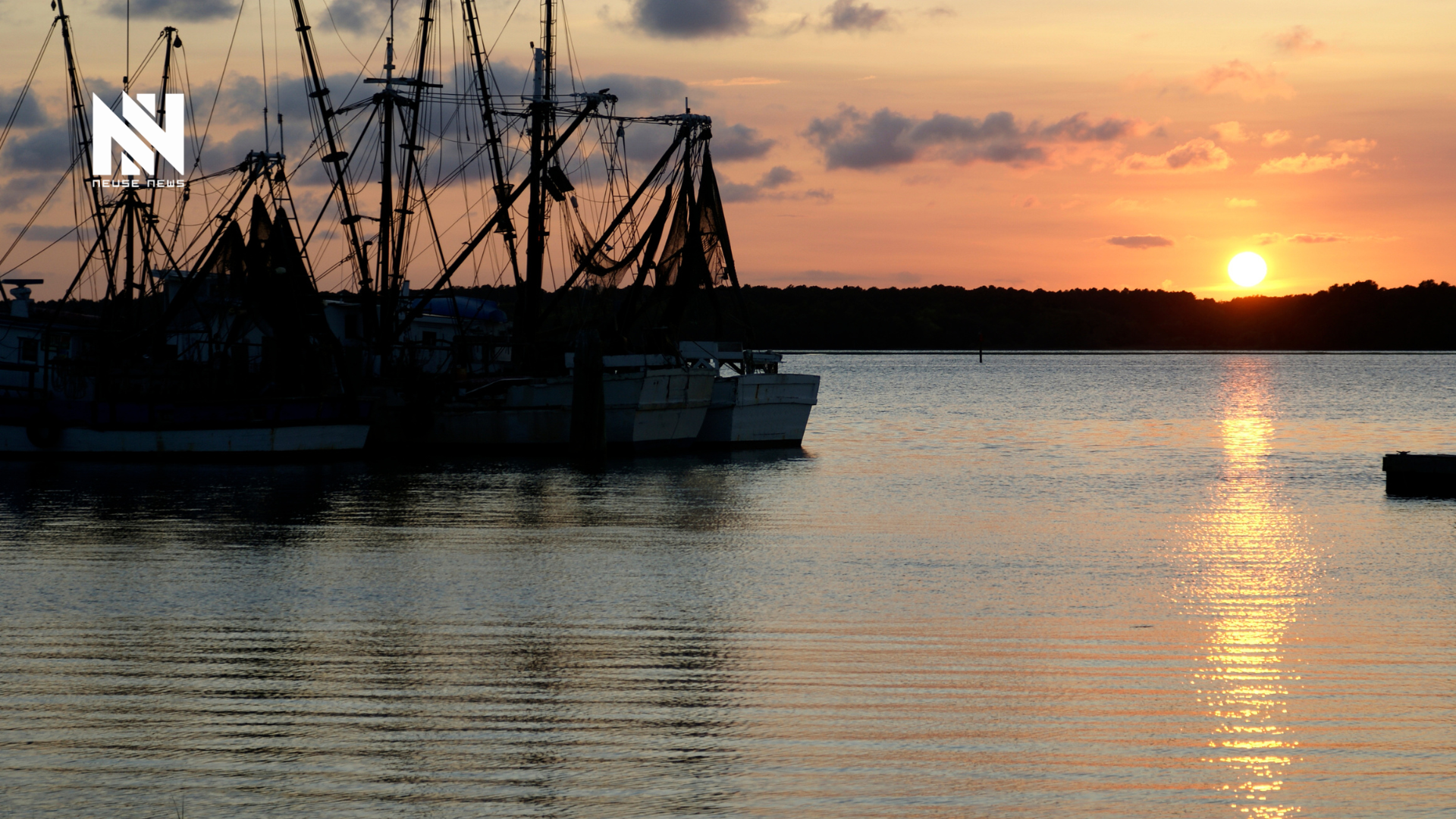 North Carolina Wildlife Federation Applauds North Carolina Senate for Advancing Critical Legislation to Protect Our Juvenile Fish
