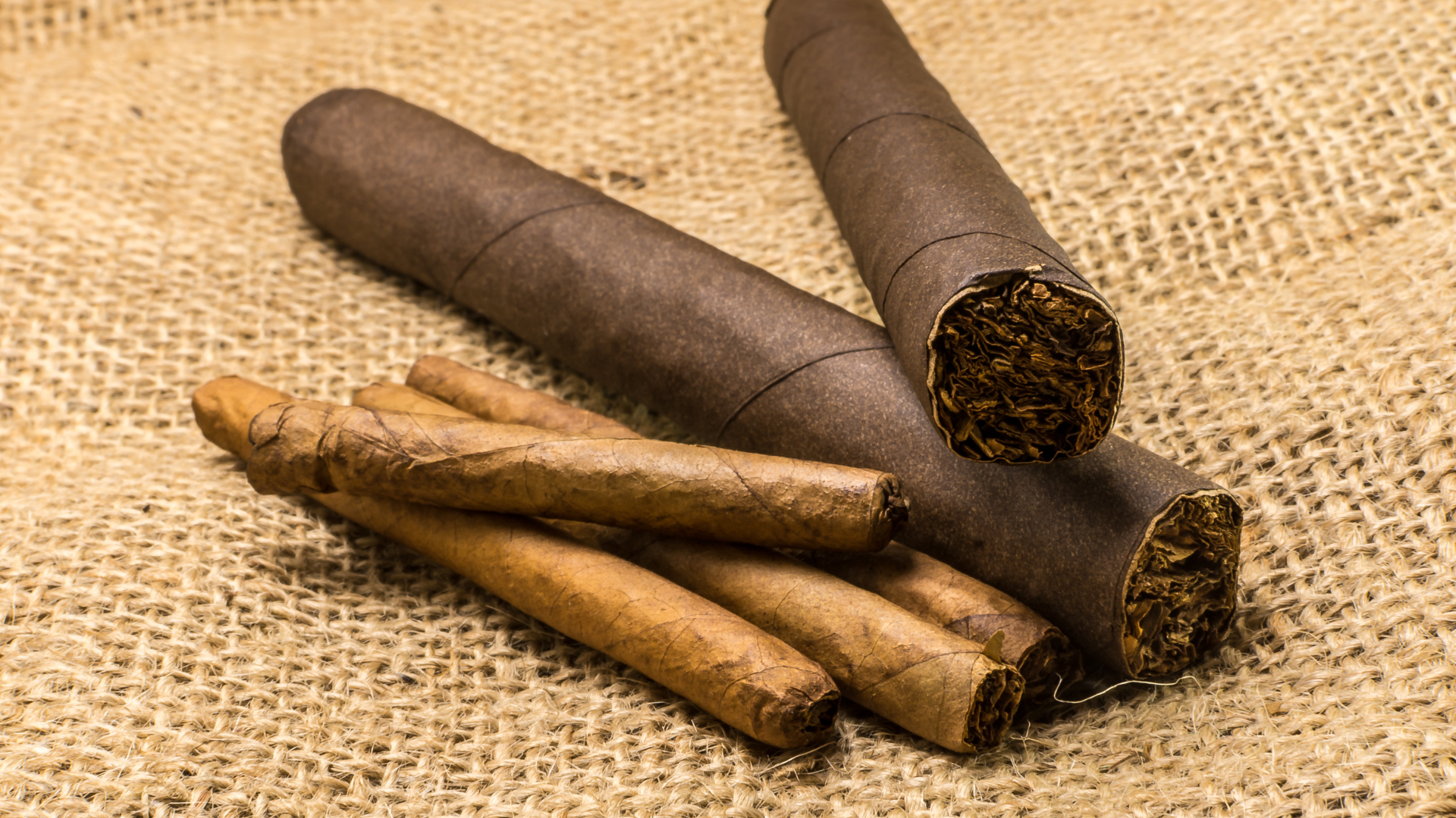Too Many U.S. Physicians Remain in the Dark About Nicotine and FDA-Authorized Smoke-Free Alternatives
