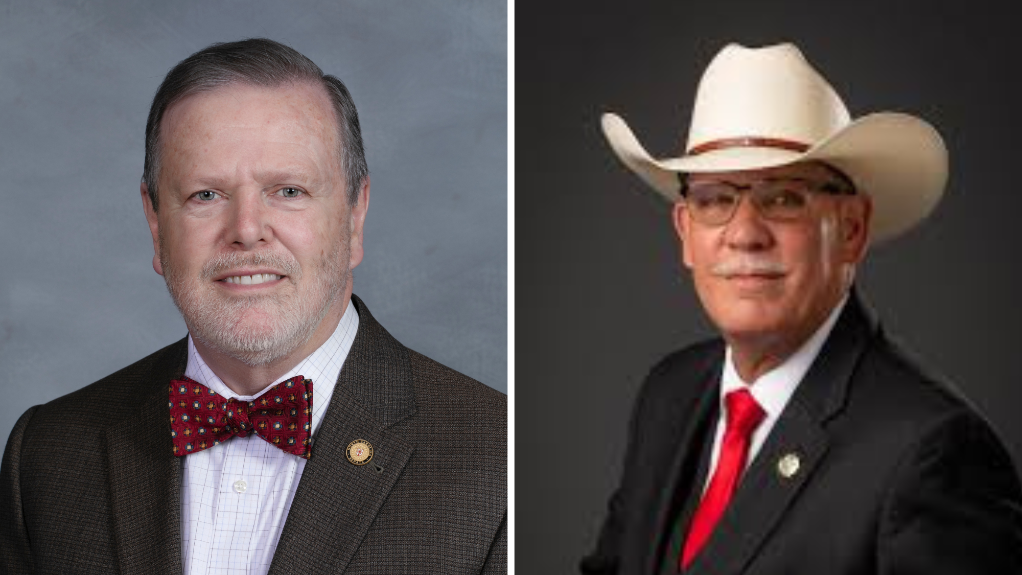 Page leads Berger by two votes in Senate District 26 GOP primary