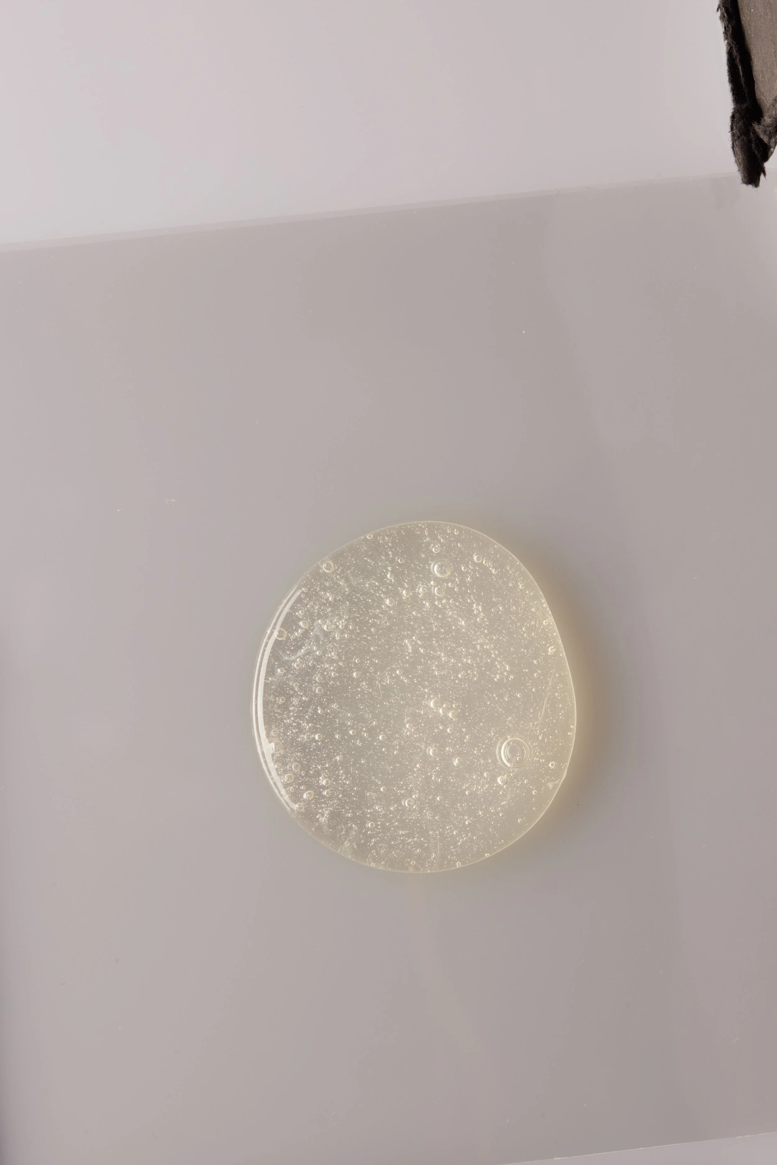 Wellbel03-17977.jpg