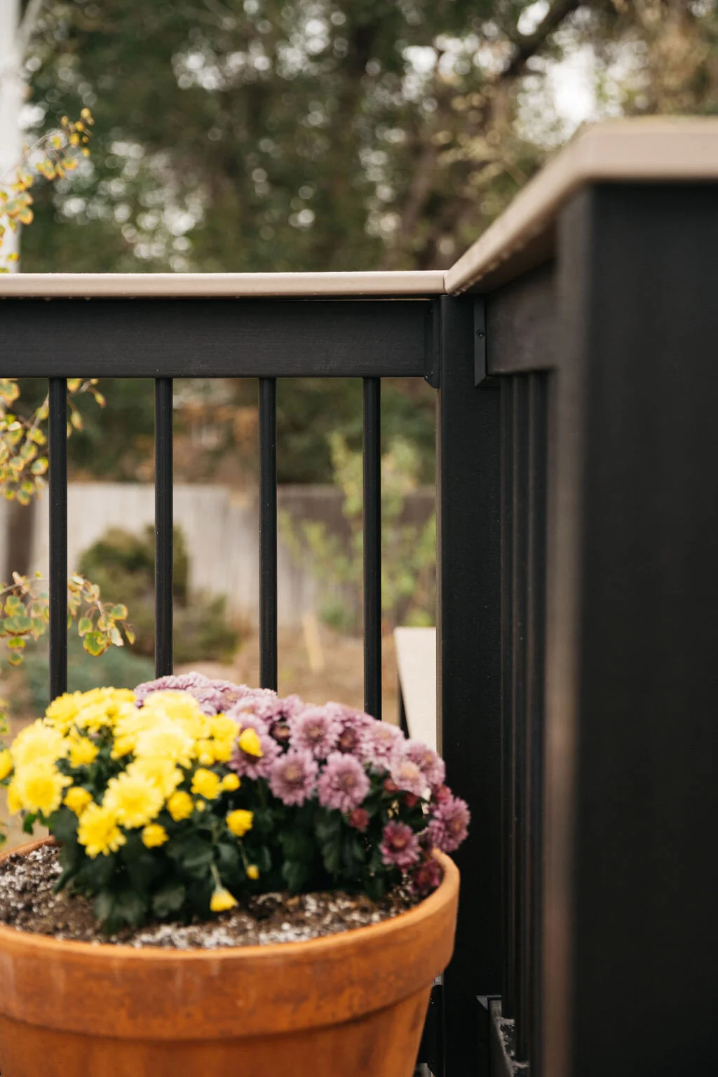 Bermont-Deck-Railing-Detail.jpg