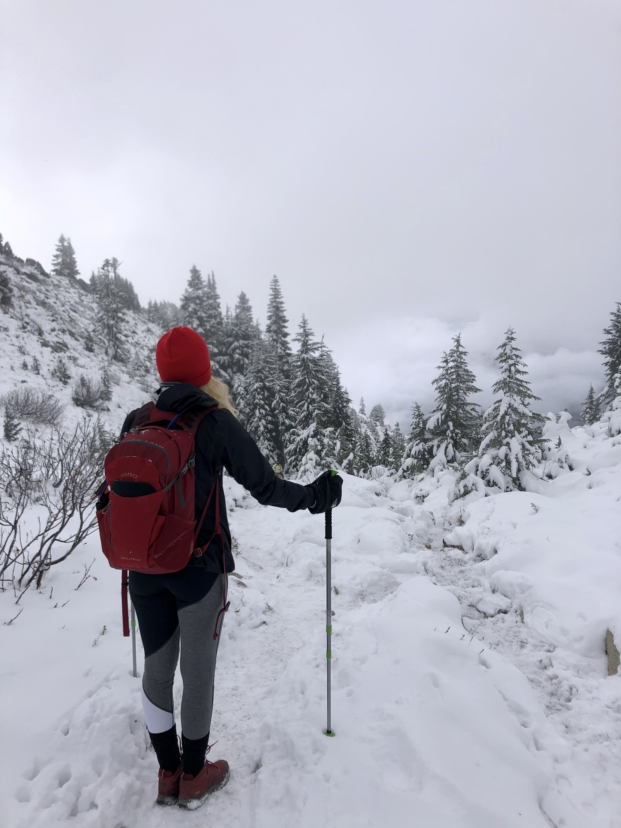 Snowy Mountain that almost killed me