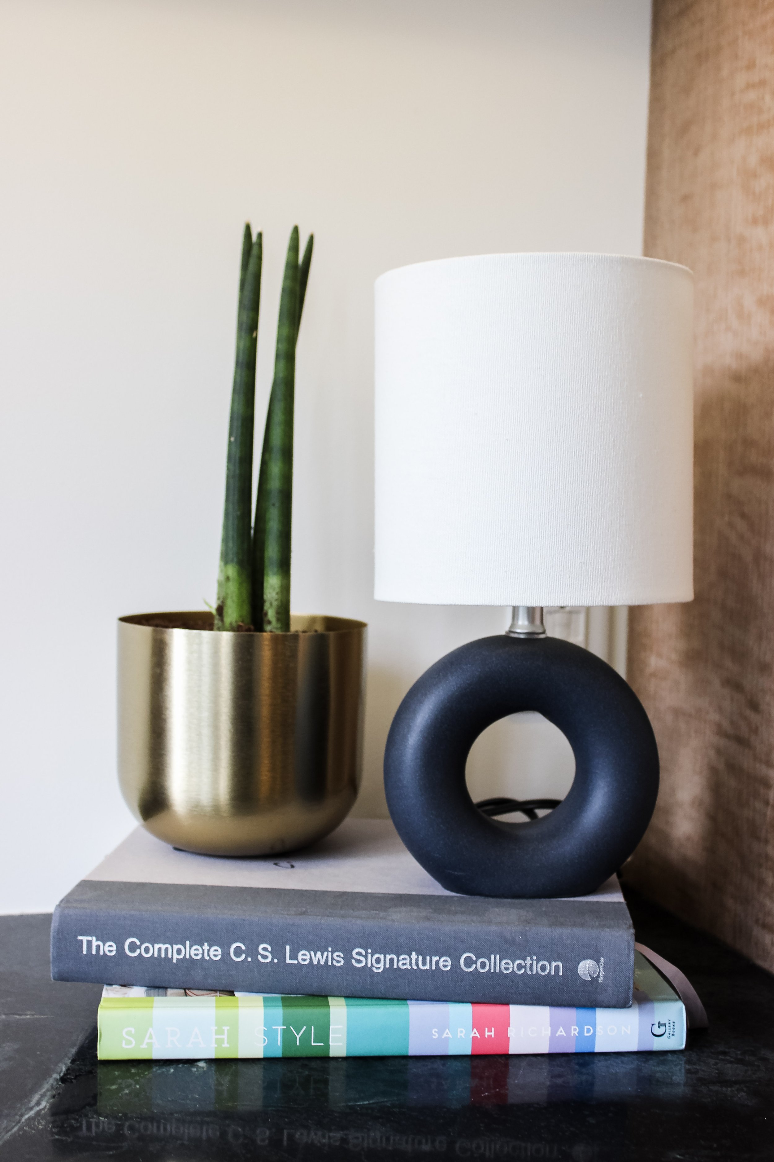 Details in kitchen renovation with plants, lamps and books