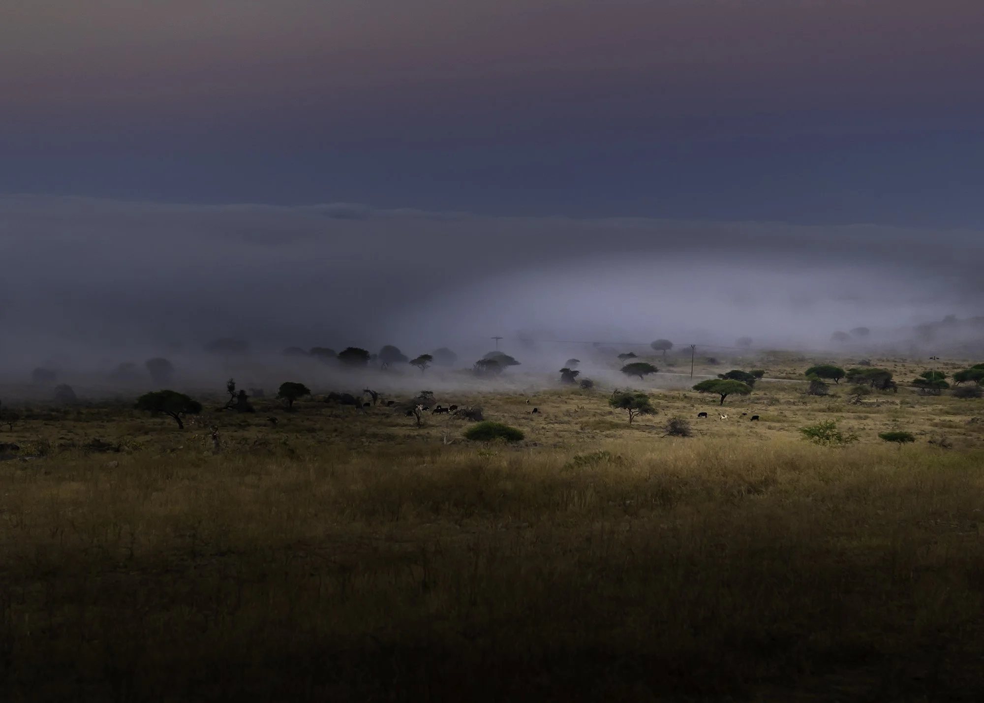 fog_Dhofar.jpg
