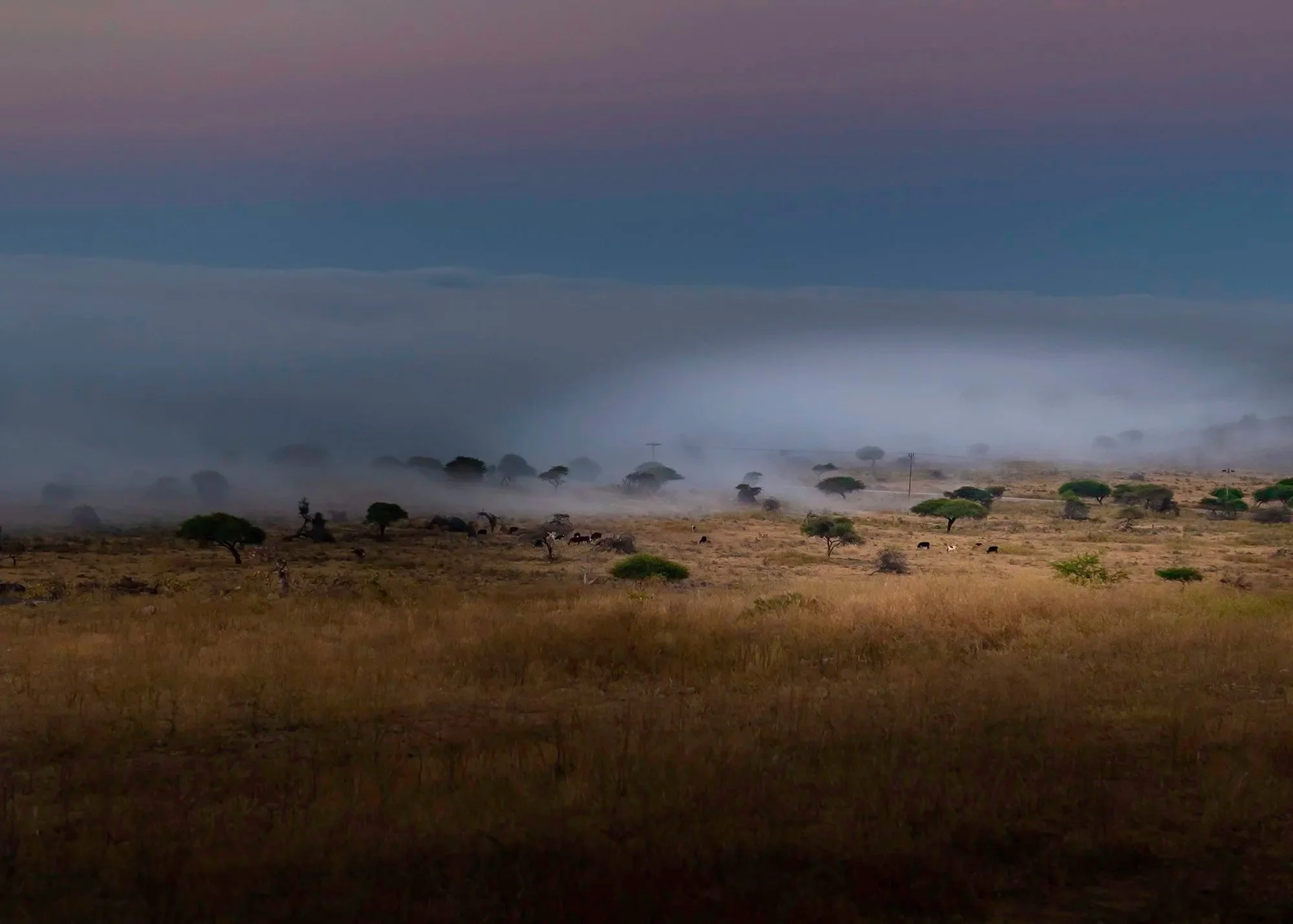 Cool Mountains, Endless Light: Why Oman Is a Summer Photography Destination Worth Discovering.