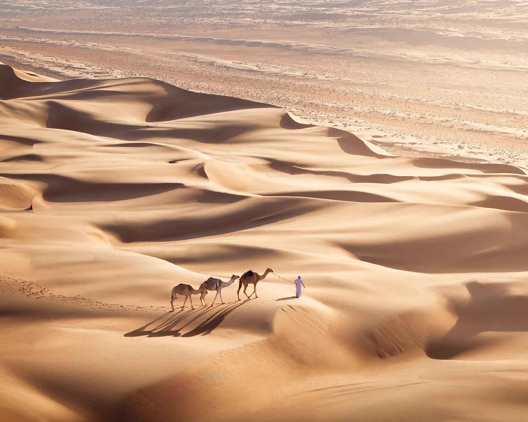 WHERE SILENCE CROSSES THE SAND