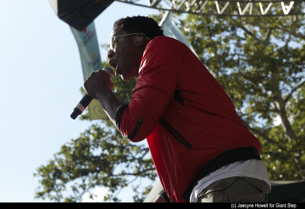 Q-Tip at SummerStage, July 2009 (Photo by Jaecyne Howell)