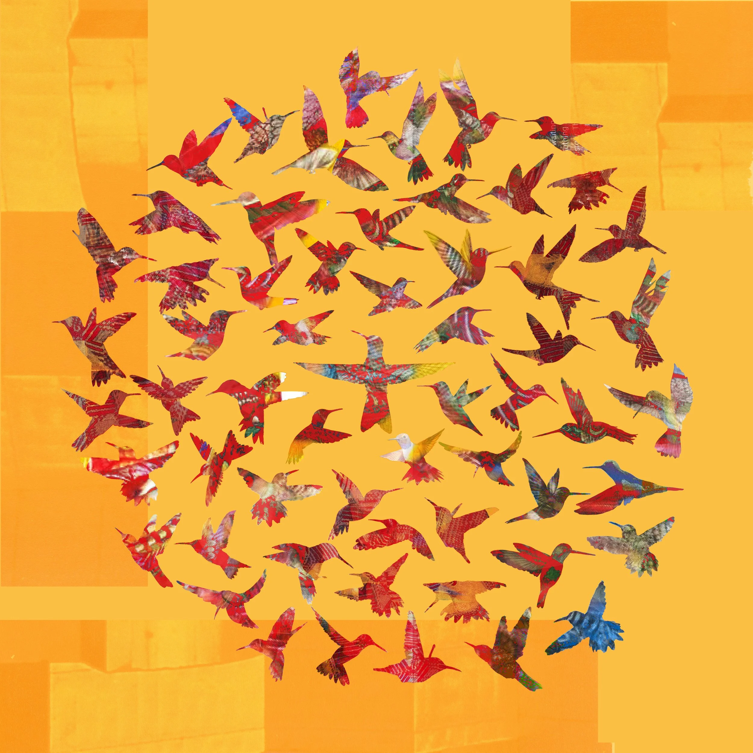 The Flight That Felt Like Home by Eduardo Mejía González