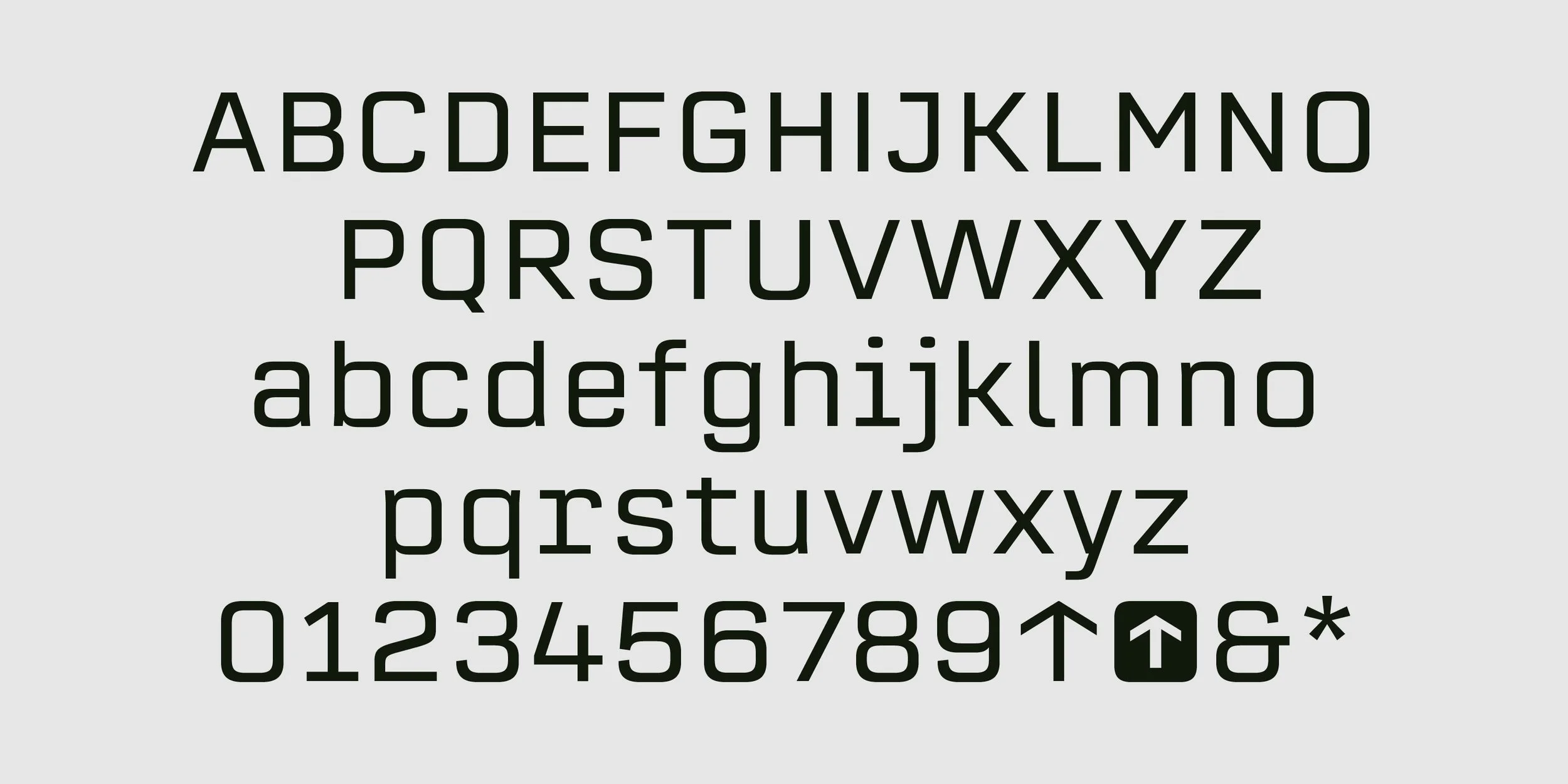 Neubaufra Inhouse Type Foundry