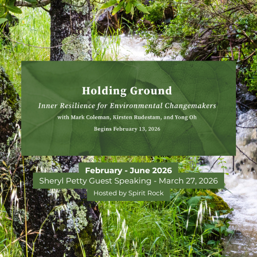 Public Speaking for Spirit Rock Changemakers Cohort, March 27th