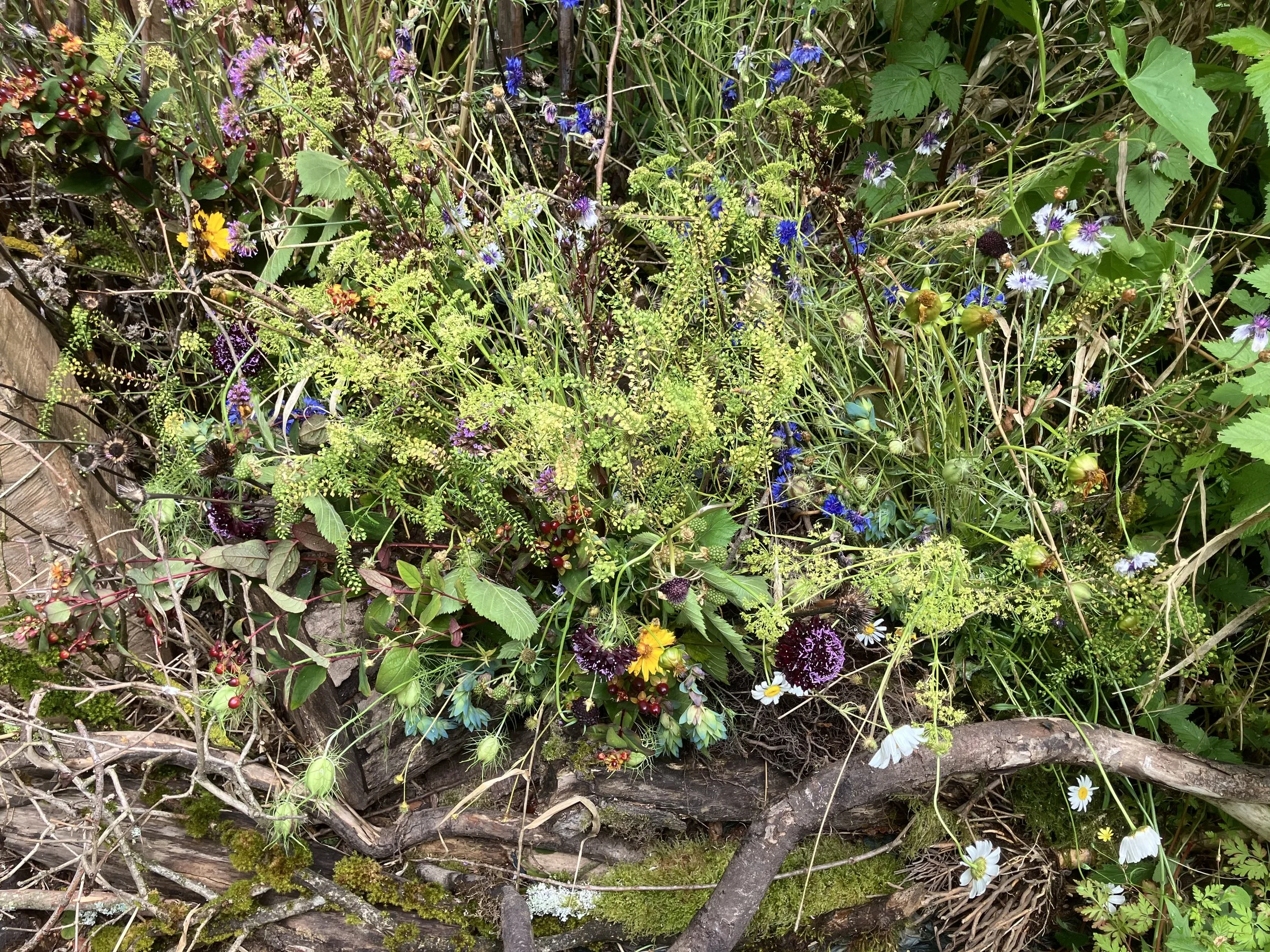 floral bower installation Earthwork No. 1 (drifiting experiential habitation) by Barb Burwell