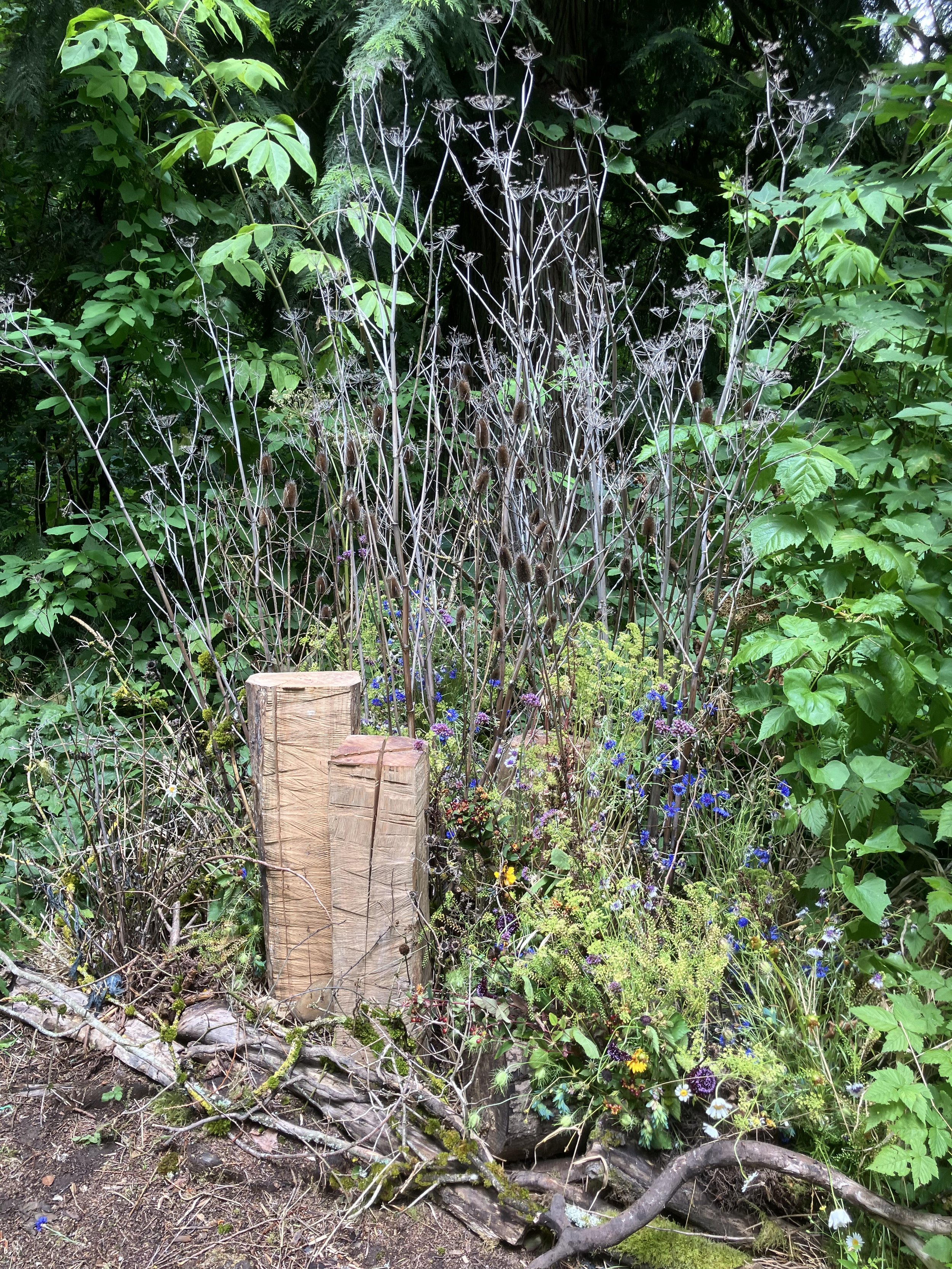 floral bower installation Earthwork No. 1 (drifting experiential habitation) by Barb Burwell