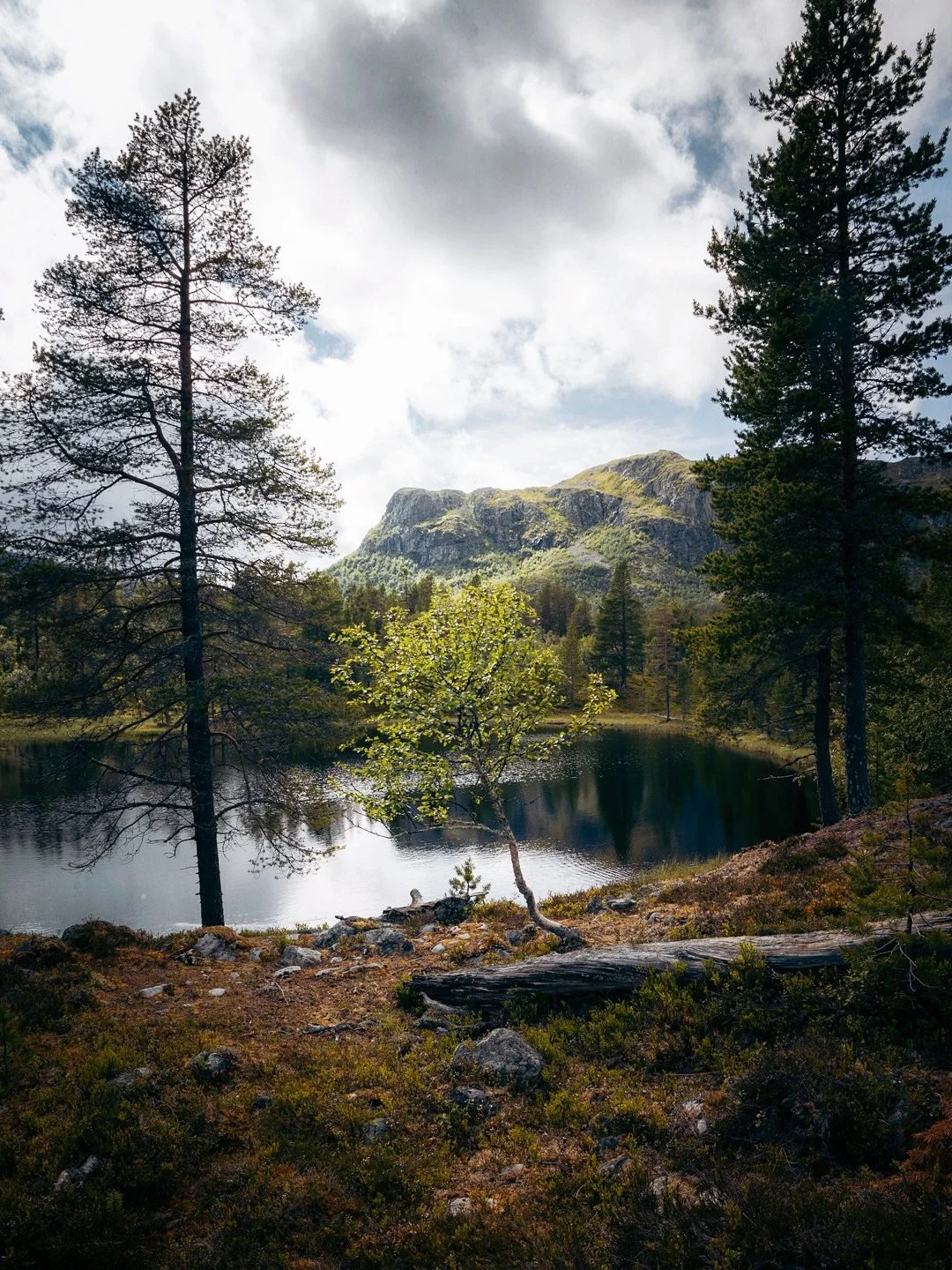 Today we drove over the border to Norway. There we hiked up Djupsj&oslash;berget, walked along the crest of it to the summit of B&aring;thusberget. Amazing views but the best photos were taken on our way to the mountain😄
