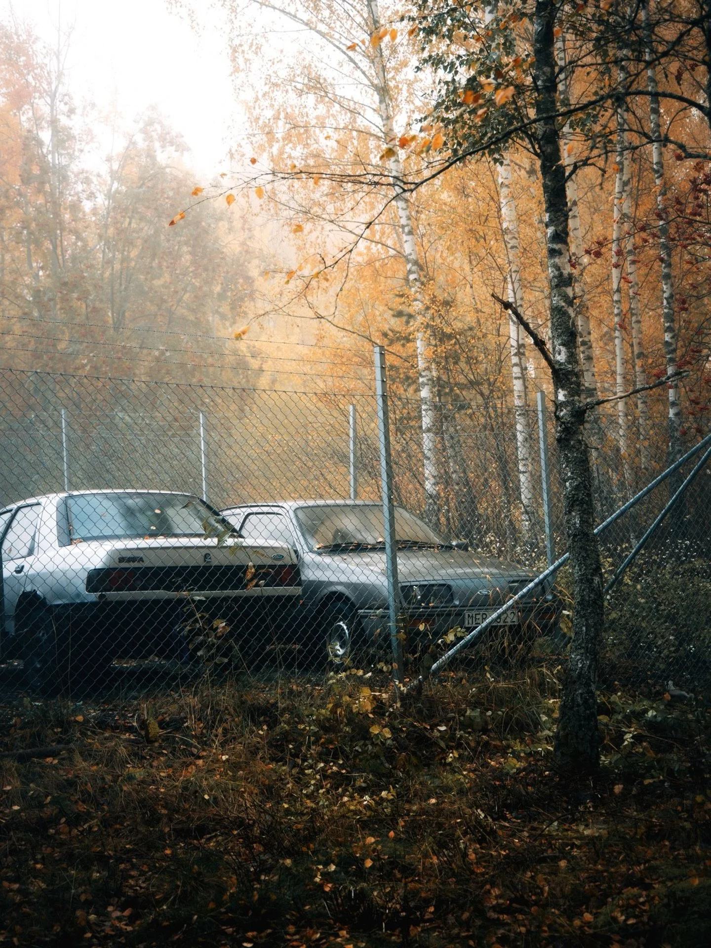 Misty morning

#canonnordic