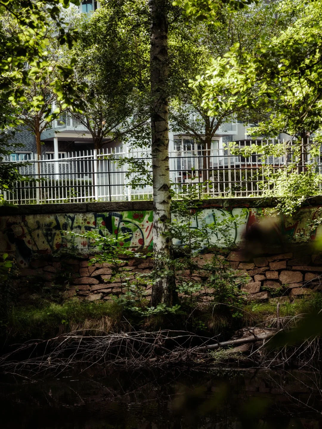 287A7912-Edit.jpg
