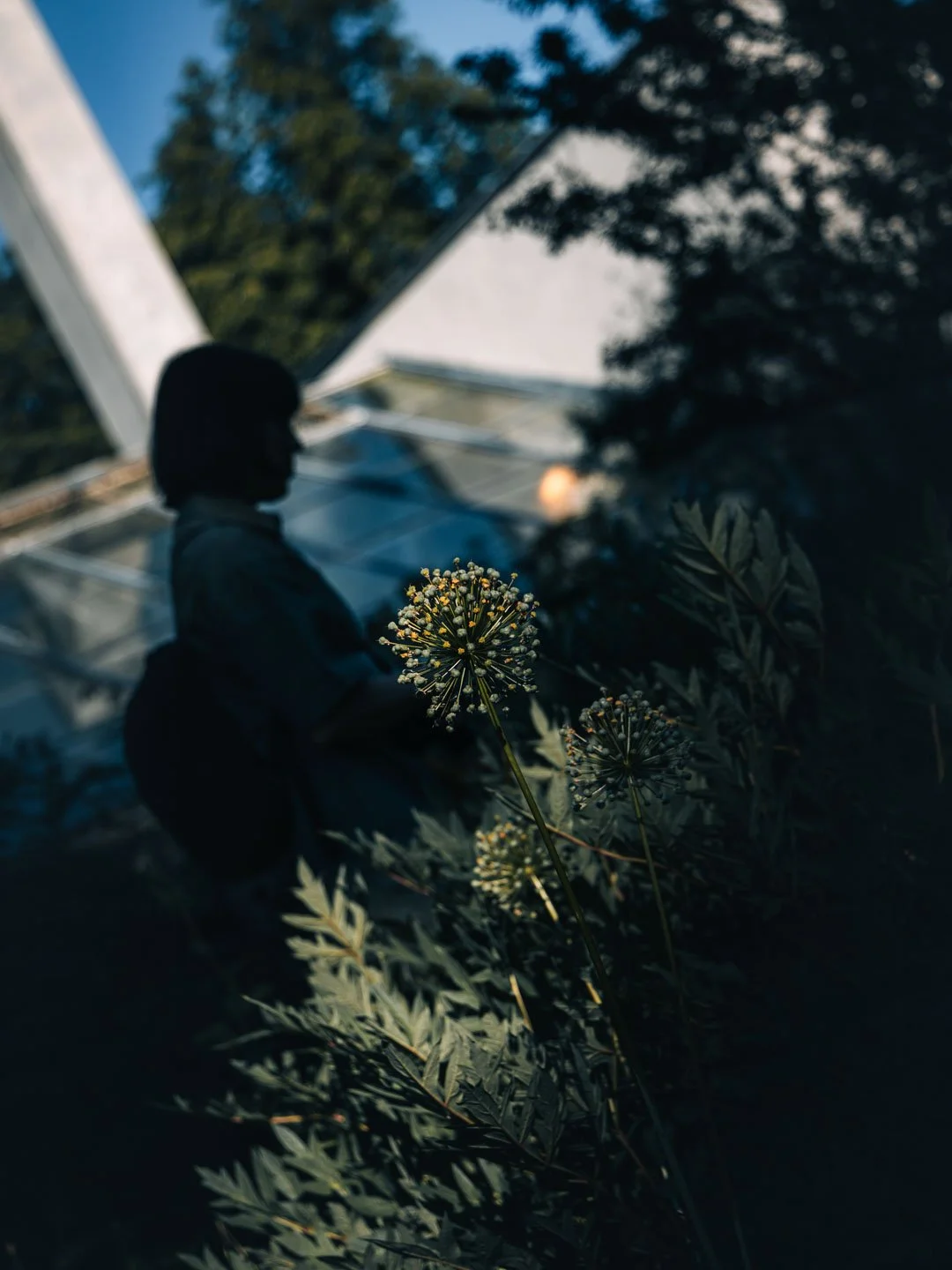 287A7925.jpg