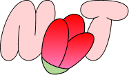 Natalie Rose Taylor