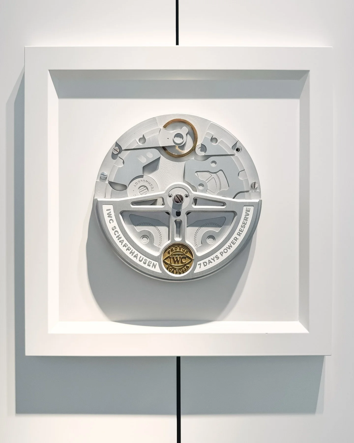 L&rsquo;art du temps dans ses moindres d&eacute;tails.
Chaque rouage, chaque vis, chaque finition raconte une histoire de pr&eacute;cision et de passion.
Bienvenue dans l&rsquo;univers IWC, o&ugrave; l&rsquo;ing&eacute;nierie devient po&eacute;sie m&