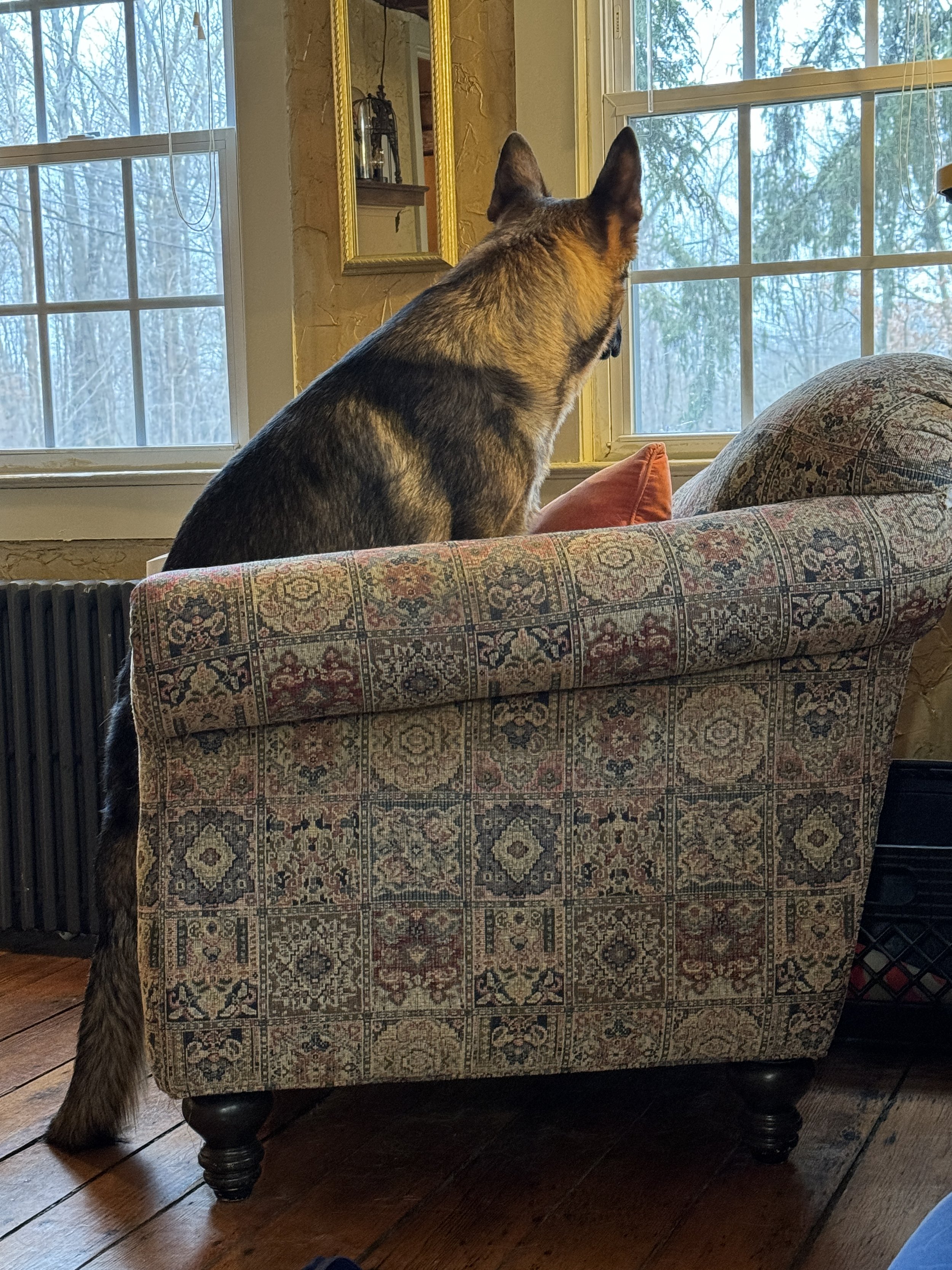 IMG_0267.jpeg