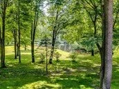 backyard w pond.jpg