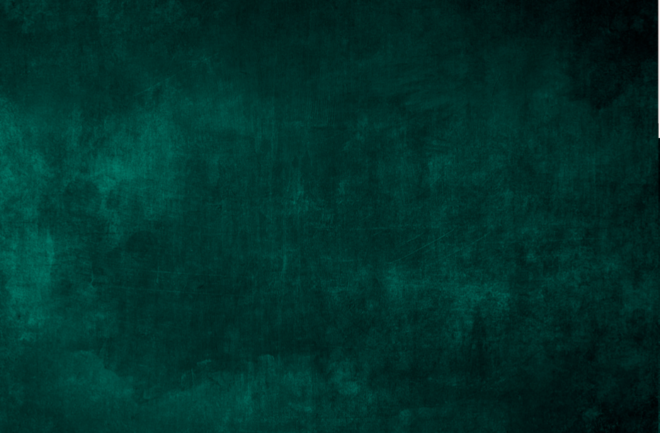 Ca'lido — Your∙ology