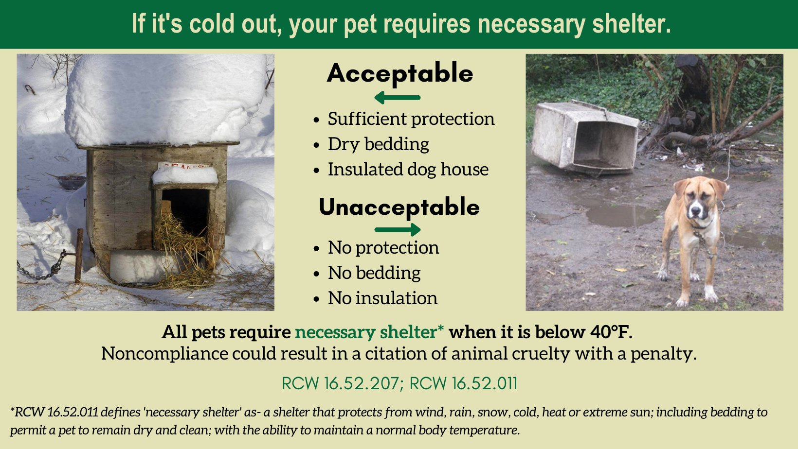 What Temperature Is Too Cold For A Dog In A House