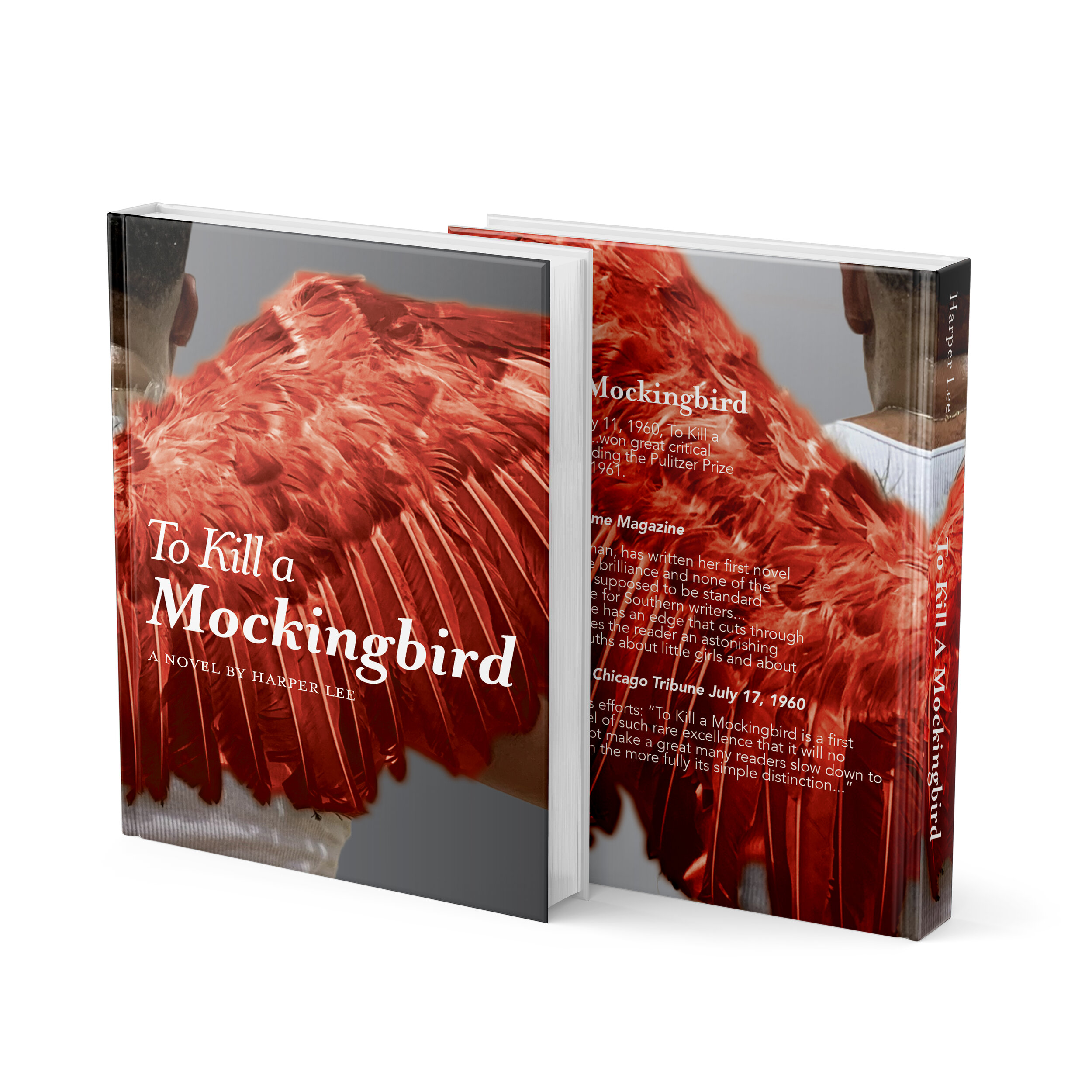 Final Book cover