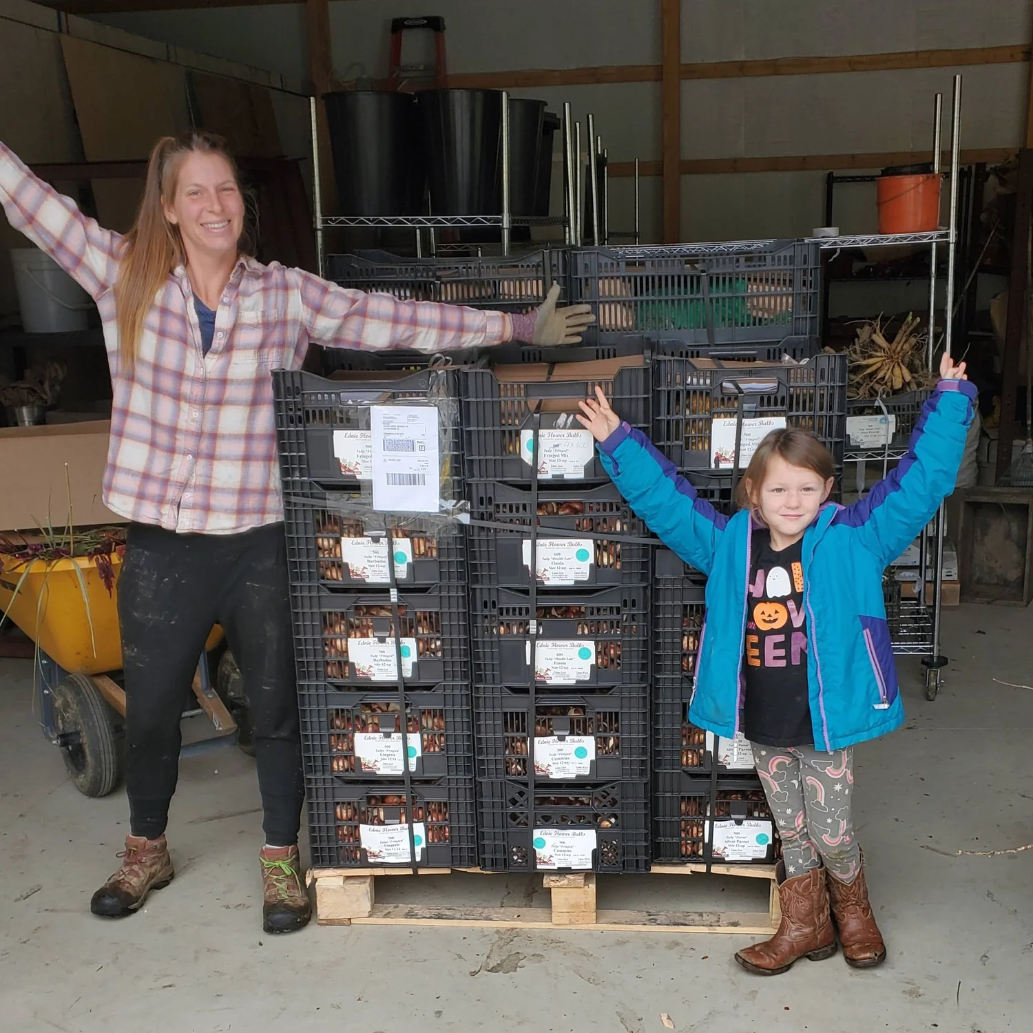 Growing Tulips — Goose Creek Gardens