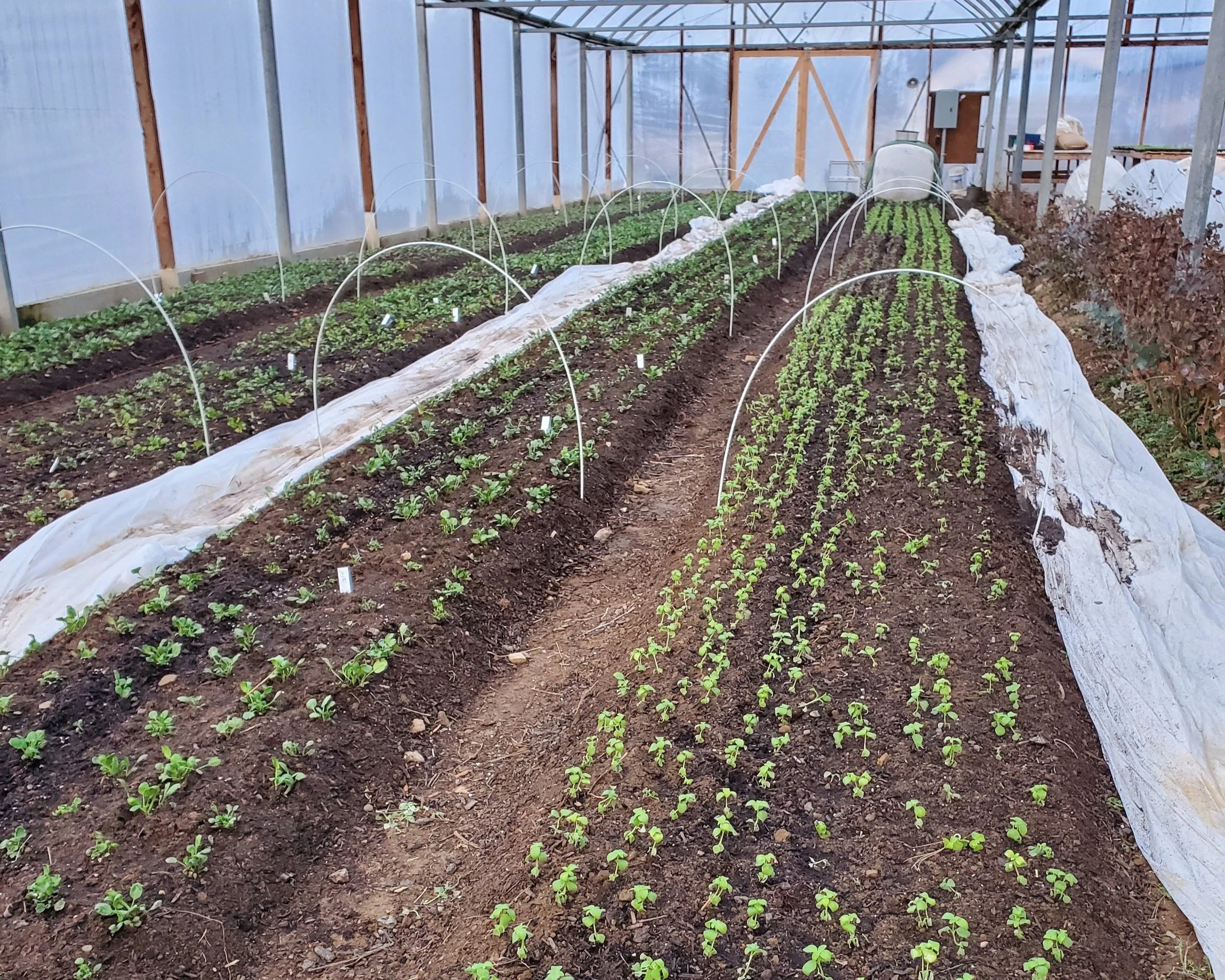 Farm Tour Friday 3/11/2022